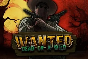 Wanted Dead or a Wild Mad Casino
